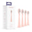Testine Ordo Sonic+ Oro rosa, 4 per confezione