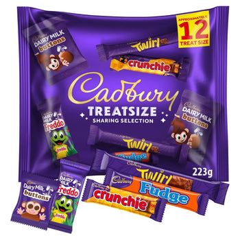 Cadbury Family TreatSize 223g